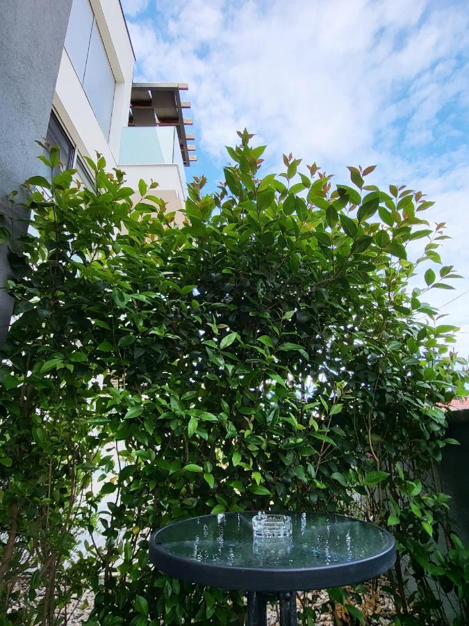 Rosemarie Beach Suites Zadar Ngoại thất bức ảnh